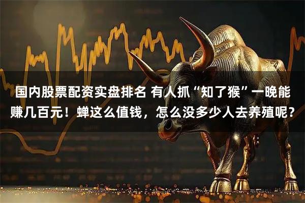 国内股票配资实盘排名 有人抓“知了猴”一晚能赚几百元！蝉这么值钱，怎么没多少人去养殖呢？