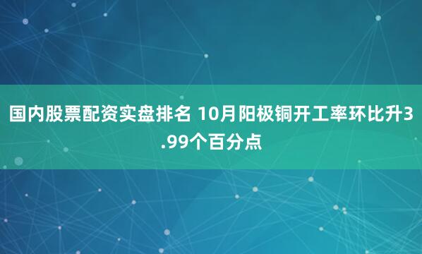 国内股票配资实盘排名 10月阳极铜开工率环比升3.99个百分点